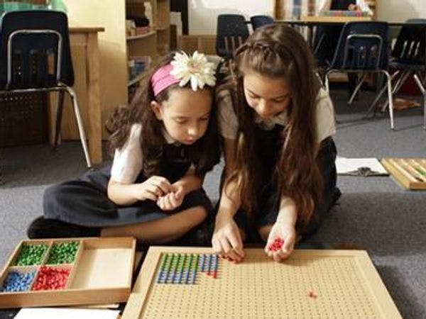 The Apple Montessori Way: Developing the Whole Child