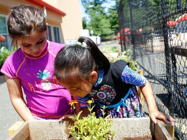 Celebrate Earth Day With Outdoor Learning