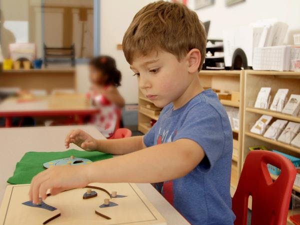 What Sets Apple Montessori Apart from Traditional Education Providers