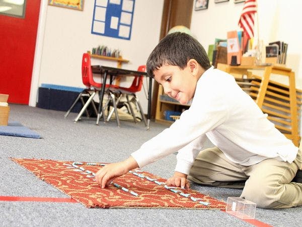 Differences Between Montessori and Traditional Schools