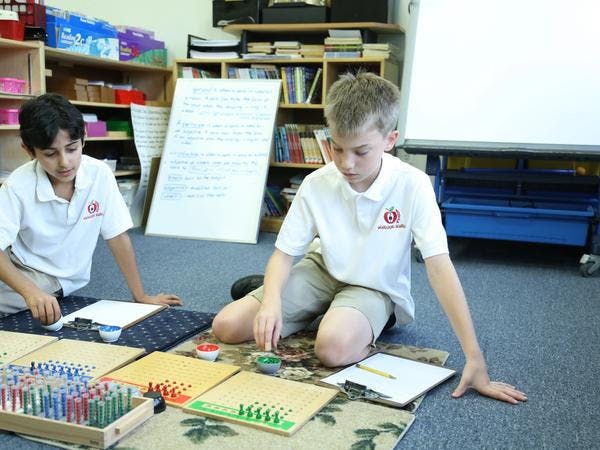 Montessori Elementary Versus Traditional Elementary